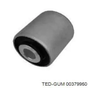  00379950 Ted-gum