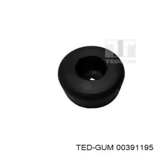  00391195 Ted-gum