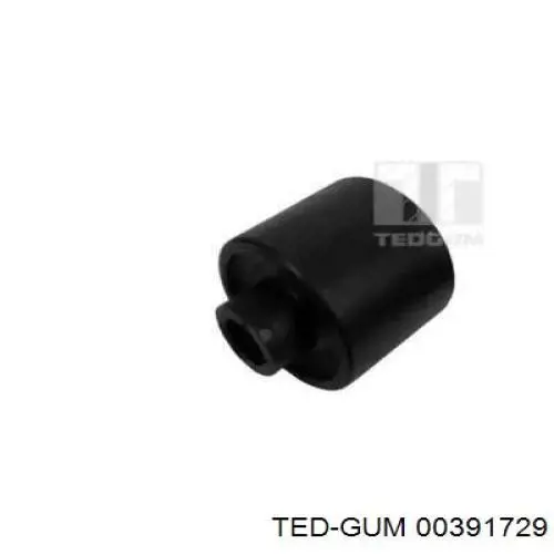  00391729 Ted-gum