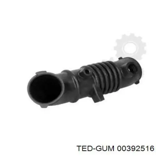 392516 Ted-gum 