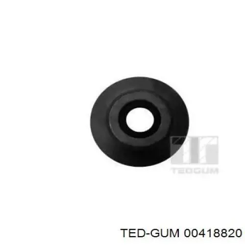 00418820 Ted-gum