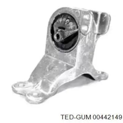  00442149 Ted-gum