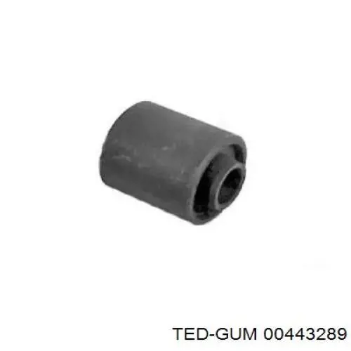  00443289 Ted-gum