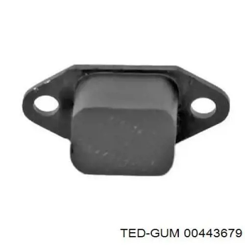  00443679 Ted-gum