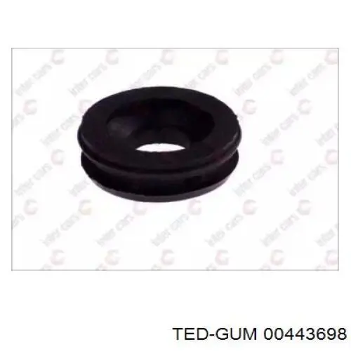 00443698 Ted-gum 