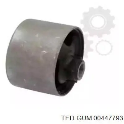  00447793 Ted-gum