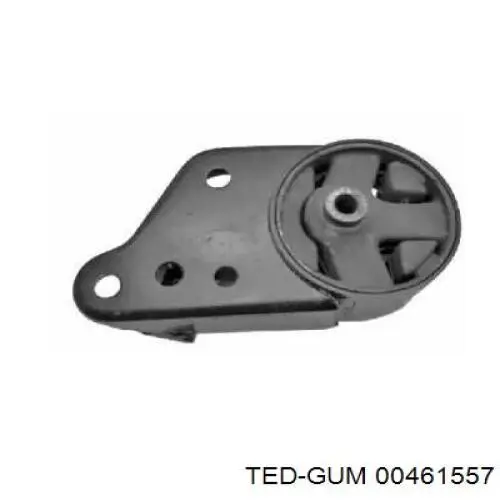  00461557 Ted-gum