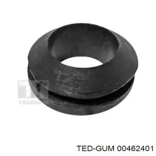  00462401 Ted-gum