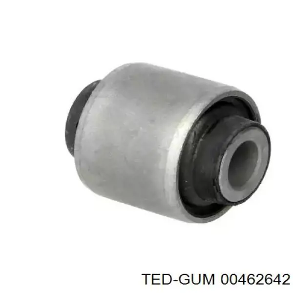  00462642 Ted-gum