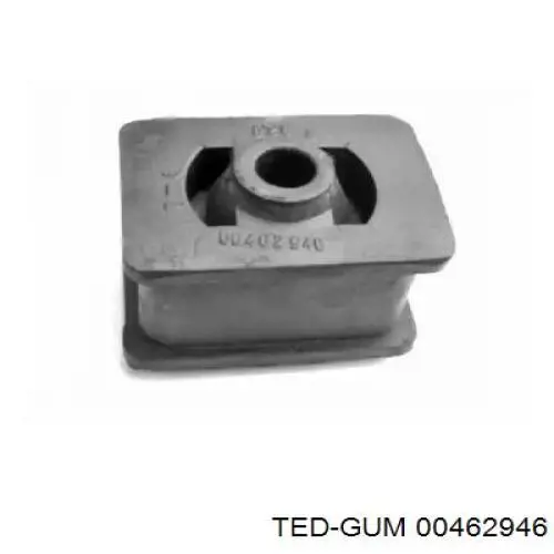  00462946 Ted-gum