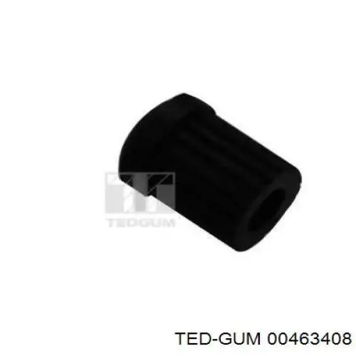  00463408 Ted-gum