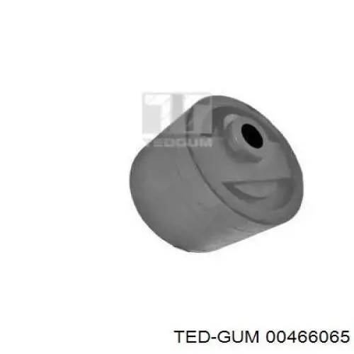  00466065 Ted-gum