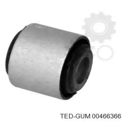 00466366 Ted-gum 