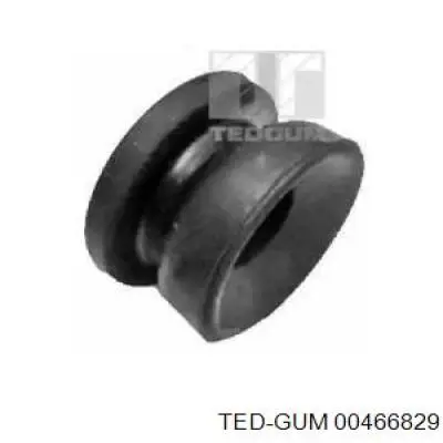  00466829 Ted-gum