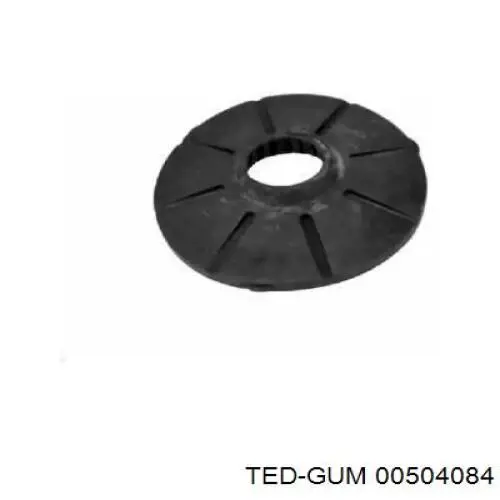  00504084 Ted-gum