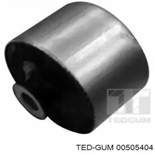  505404 Ted-gum