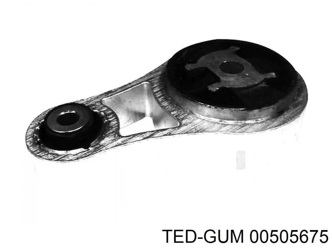 00505675 Ted-gum