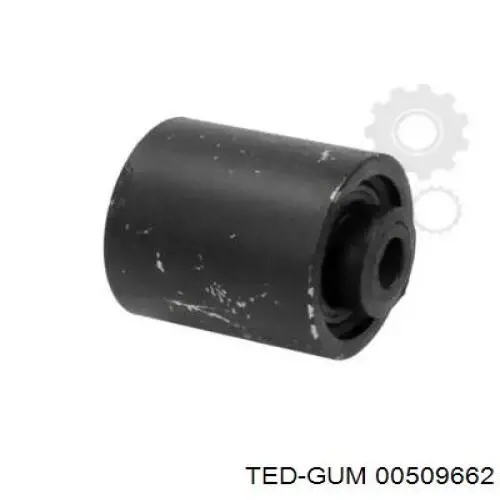 509662 Ted-gum 