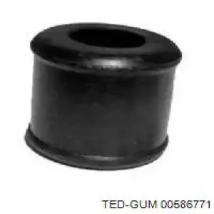  00586771 Ted-gum