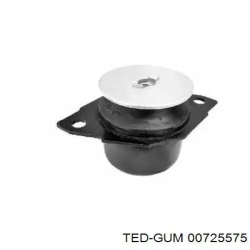 Soporte motor izquierdo 00725575 Ted-gum