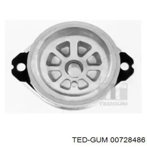 00728486 Ted-gum