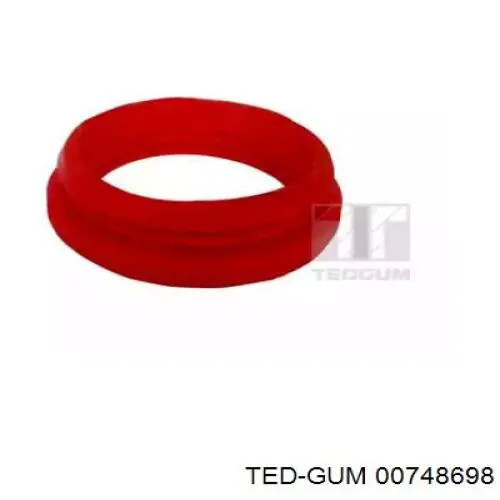  00748698 Ted-gum