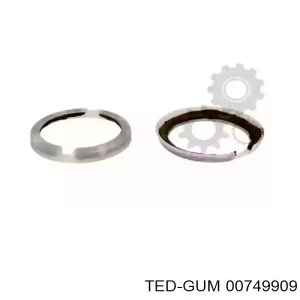 00749909 Ted-gum Ремкомплект шкворня поворотного кулака