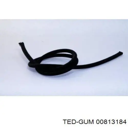 00813184 Ted-gum 