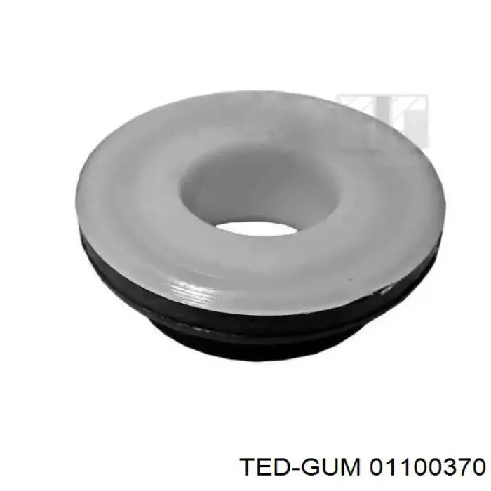  01100370 Ted-gum