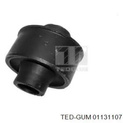  01131107 Ted-gum
