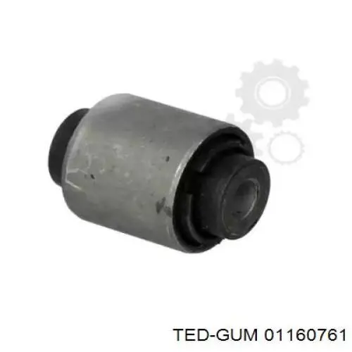 01160761 Ted-gum 