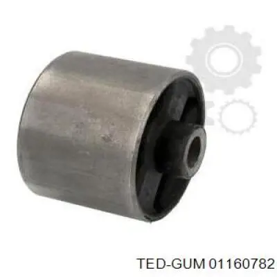 01160782 Ted-gum