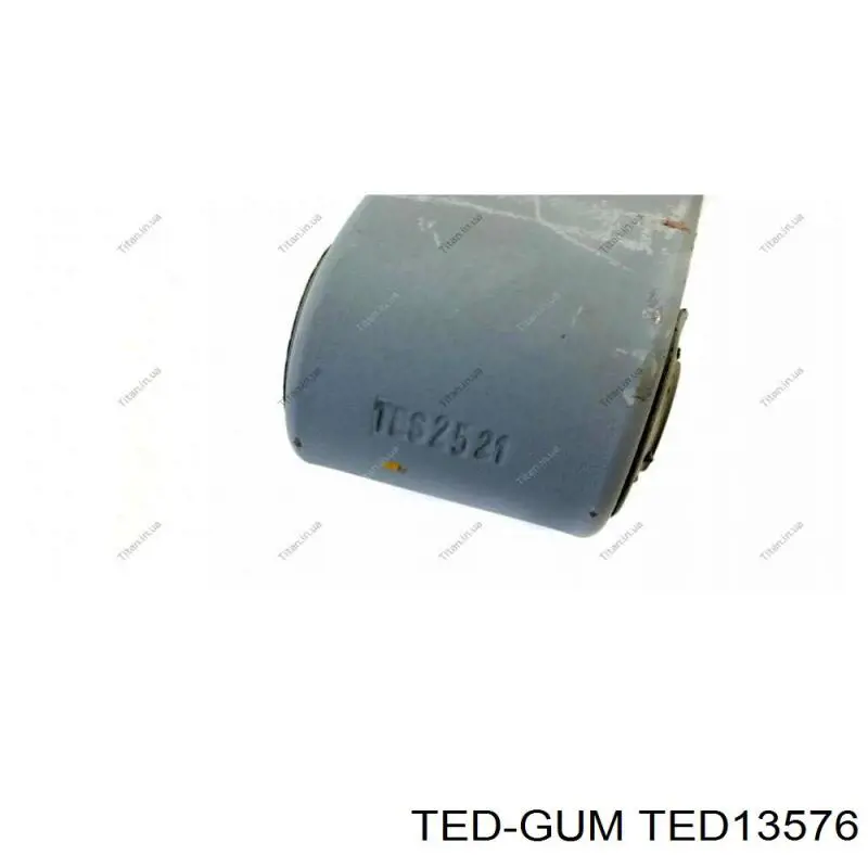 TED13576 Ted-gum bloco silencioso de dianteiro suspensão de lâminas traseira