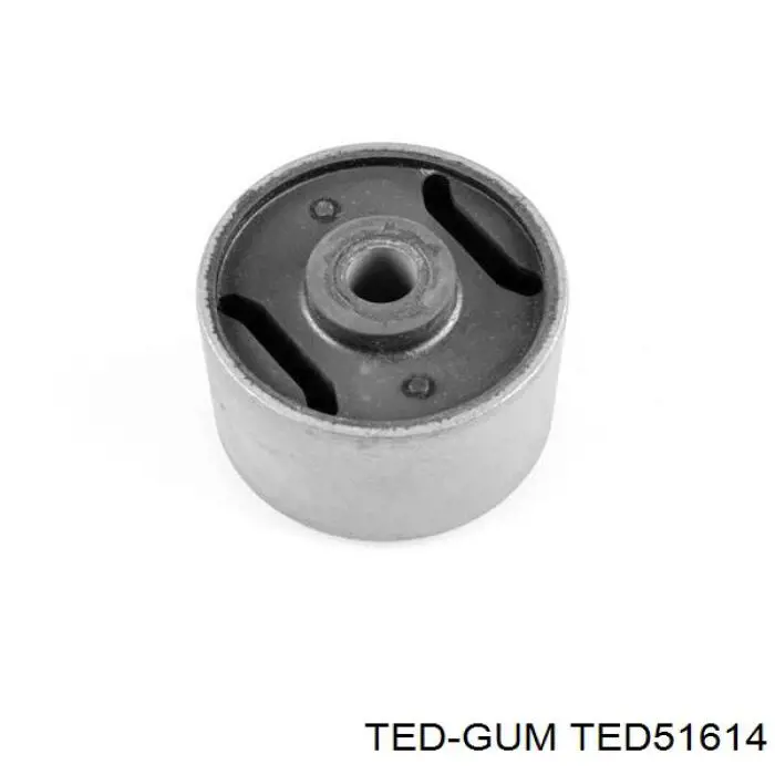 TED51614 Ted-gum