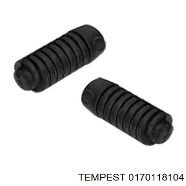 Защита двигателя правая Tempest 0170118104