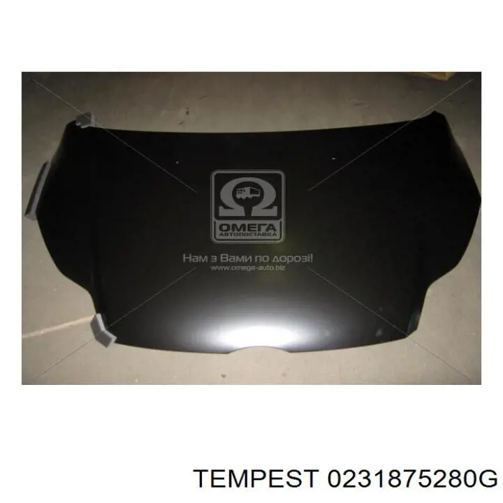 0231875280G Tempest 