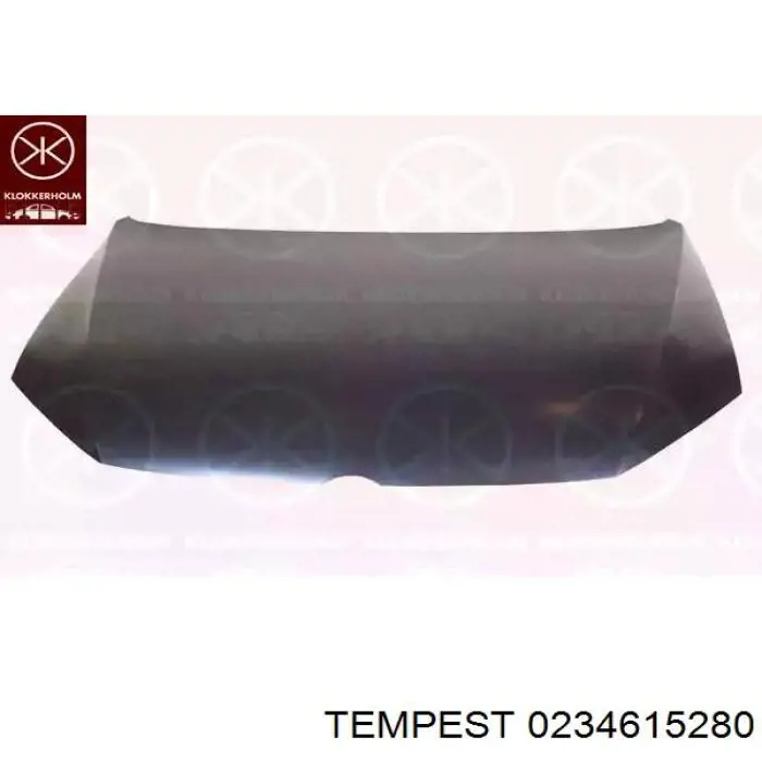 0234615280 Tempest Капот