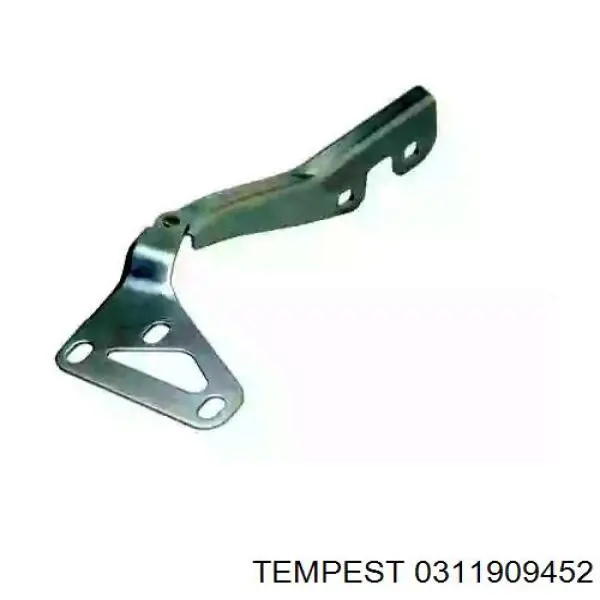Купить 0311909452 Tempest Завеса капота правая