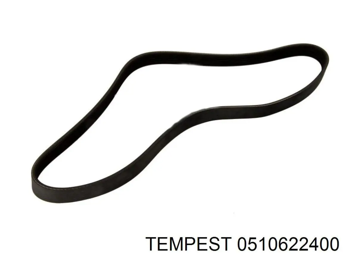 0510622400 Tempest Зеркало заднего вида правое