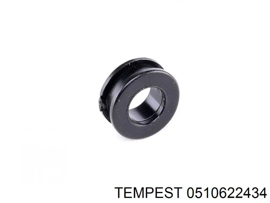 Стекло правого зеркала заднего вида 0510622434 Tempest