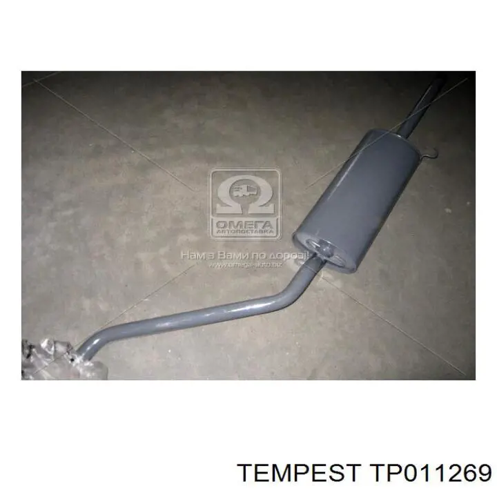 Купить TP011269 Tempest Выхлопная труба