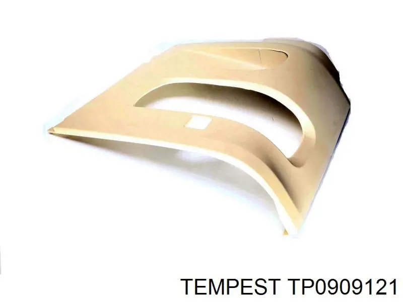 TP0909121 Tempest