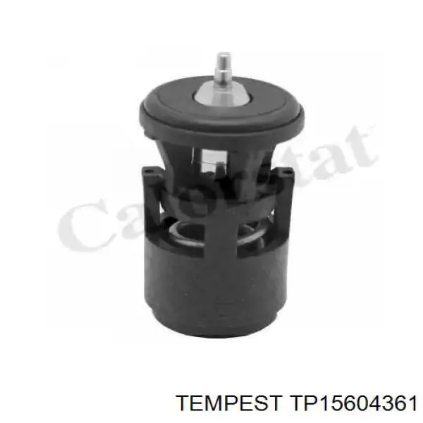 Compre TP15604361 Tempest Radiador de esfriamento de motor