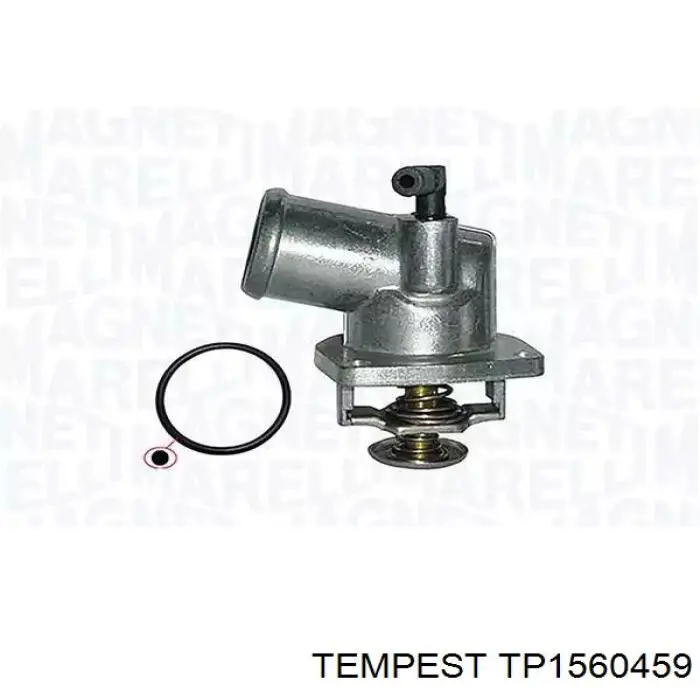 Радиатор TP1560459 Tempest
