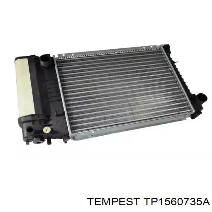 TP1560735A Tempest Радиатор основной