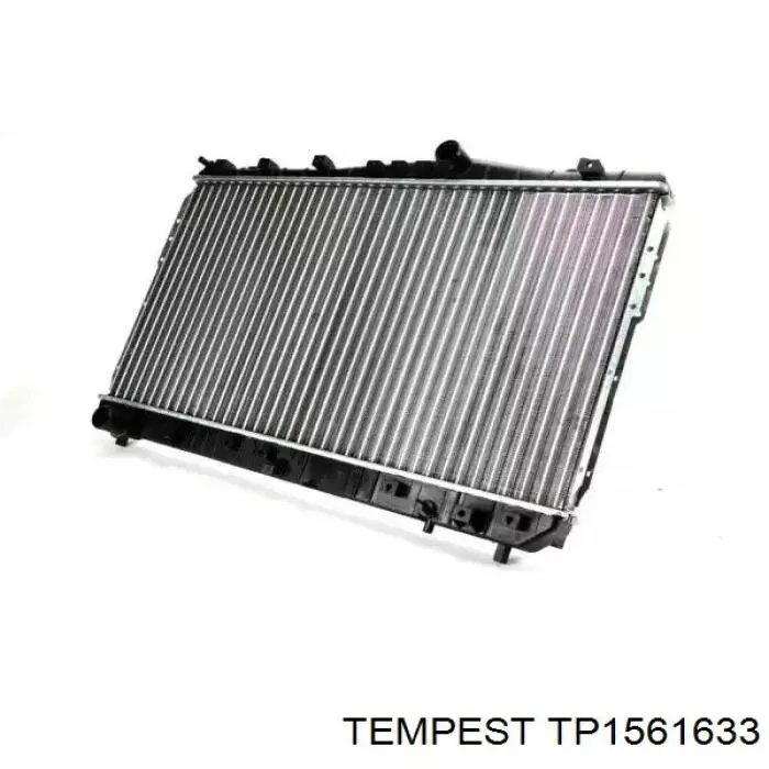 TP1561633 Tempest