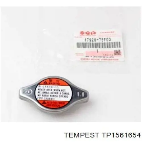 TP.15.61.654 Tempest радиатор