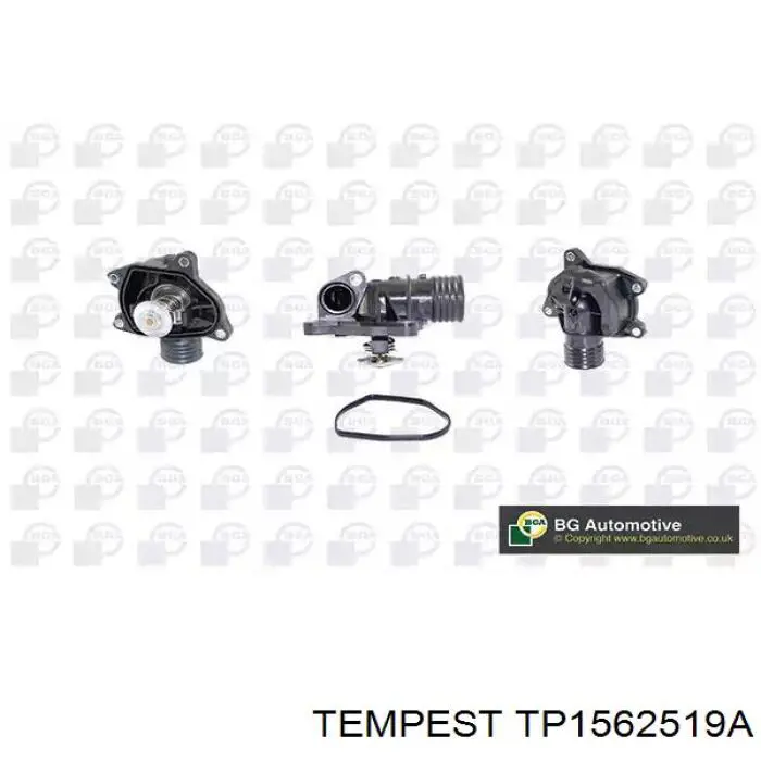 TP1562519A Tempest Радиатор основной