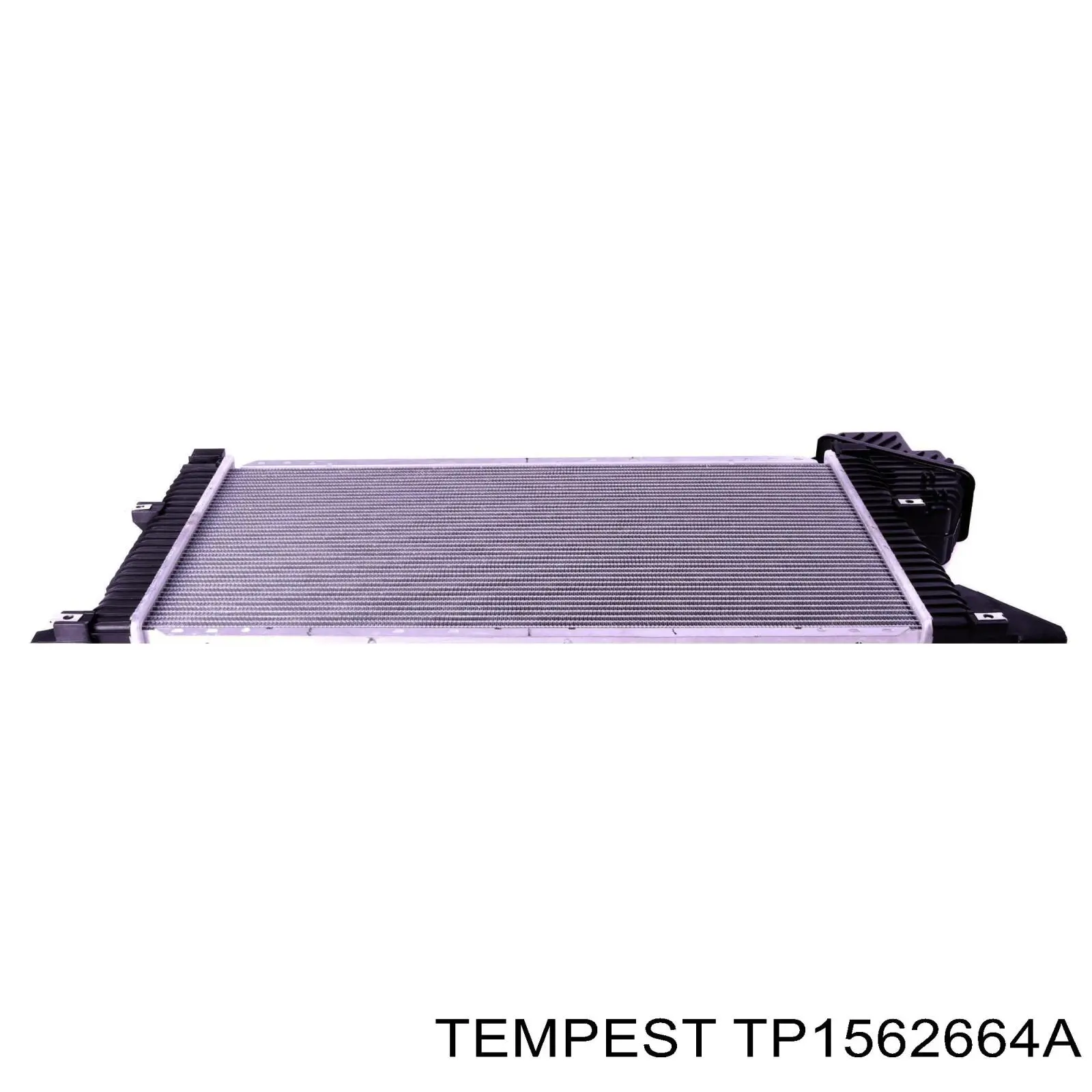 TP1562664A Tempest Радиатор основной