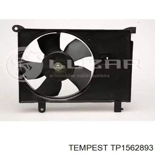 TP1562893 Tempest Радиатор основной